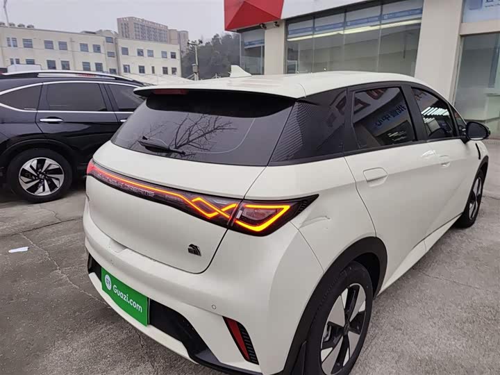 Фото 7 - BYD Dolphin