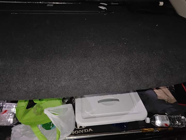 Фото 4 - Honda Avancier