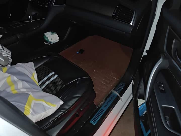 Фото 8 - Honda Avancier