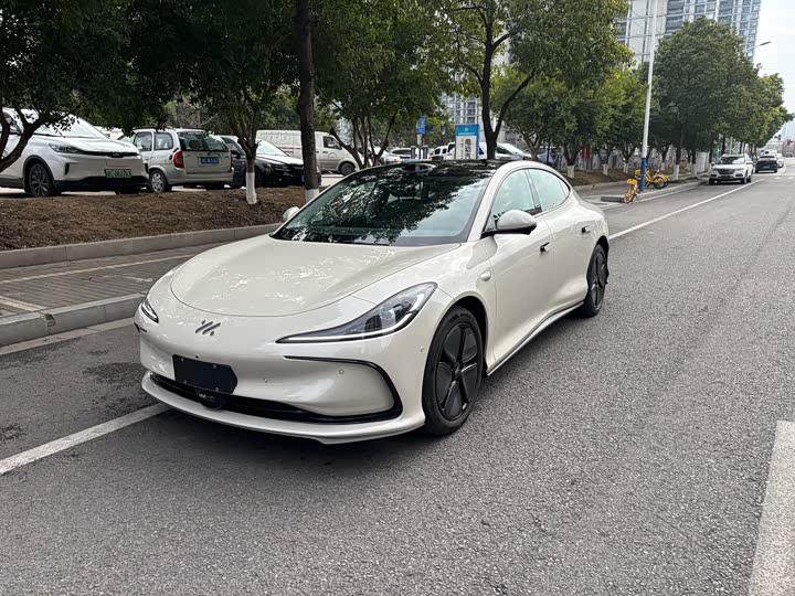 Фото 1 - IM motors L6