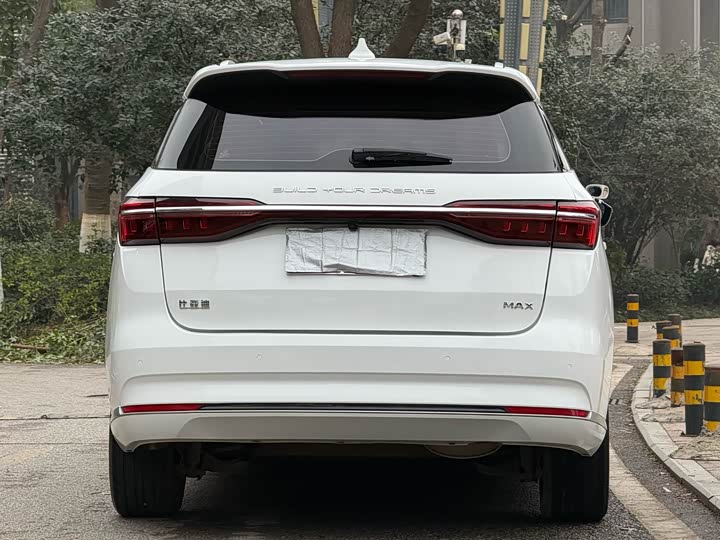 Фото 4 - BYD Song Max