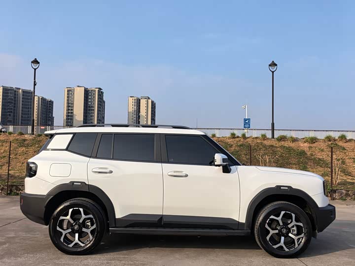 Фото 3 - Jetour Shanhai T1