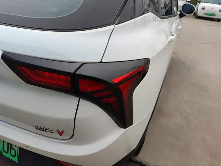 Фото 8 - Hozon V