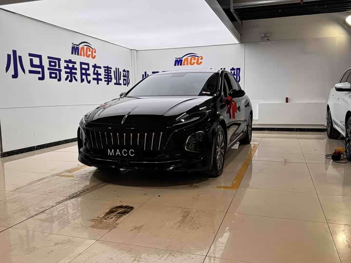 Фото 2 - Hongqi E-QM5