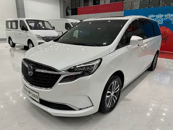 Фото 1 - Buick GL8 ES