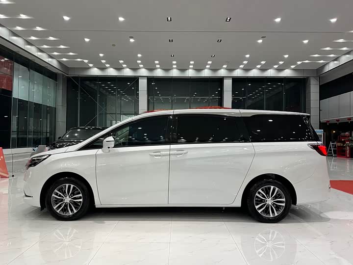 Фото 4 - Buick GL8 ES