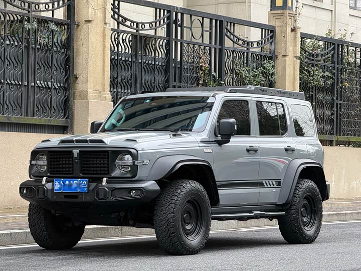 Фото 1 - Tank 300