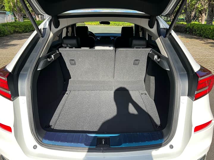 Фото 9 - Honda Avancier