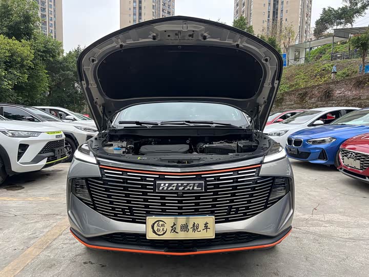 Фото 4 - Haval F7 (Monster)