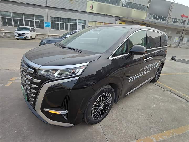 Фото 2 - Denza D9