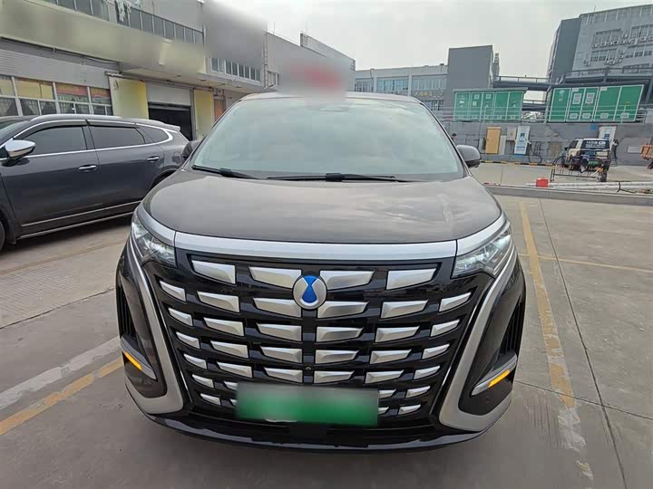 Фото 3 - Denza D9