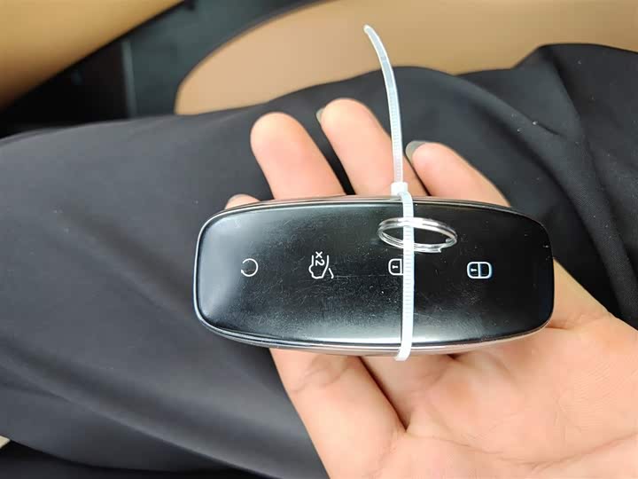 Фото 9 - Denza D9