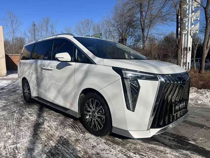 Фото 3 - GAC Trumpchi E9