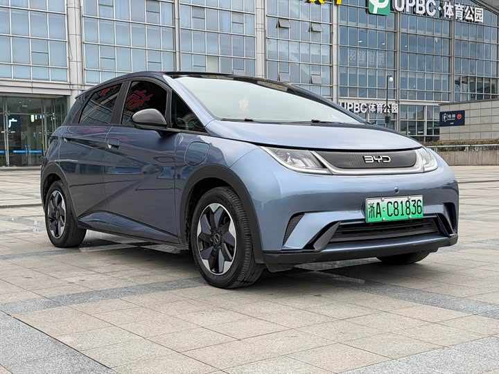 Фото 3 - BYD Dolphin