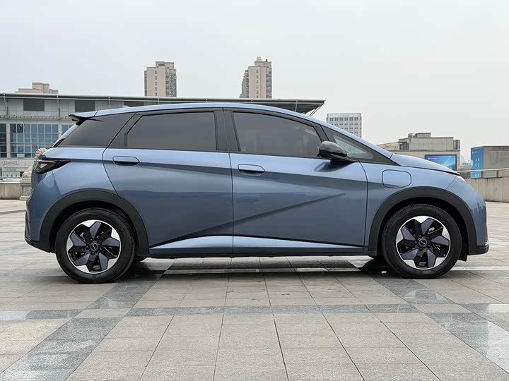 Фото 4 - BYD Dolphin