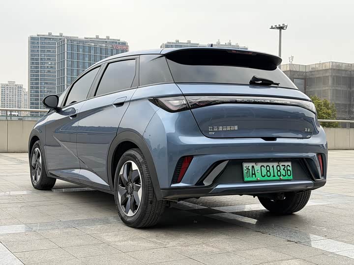 Фото 7 - BYD Dolphin