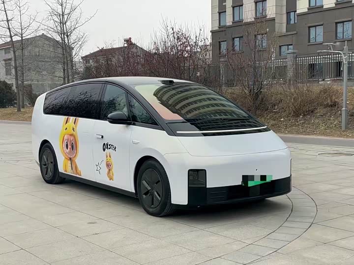 Фото 3 - LiXiang Mega