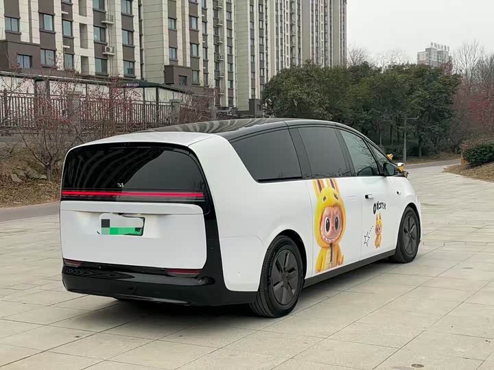 Фото 9 - LiXiang Mega