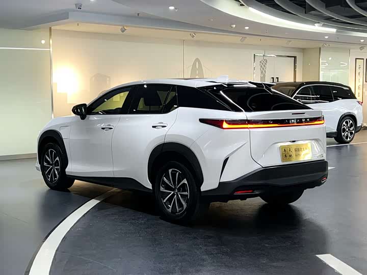 Фото 3 - Lexus RZ