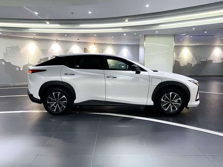 Фото 6 - Lexus RZ