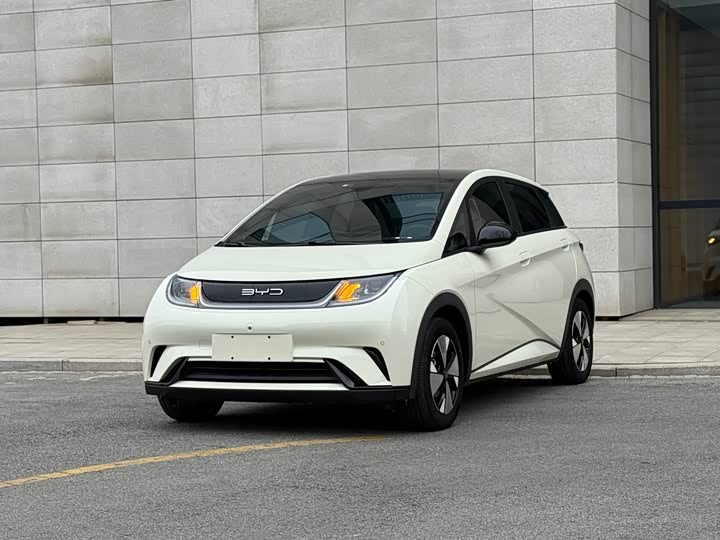 Фото 1 - BYD Dolphin