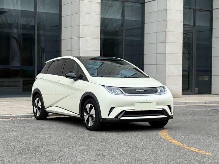 Фото 3 - BYD Dolphin