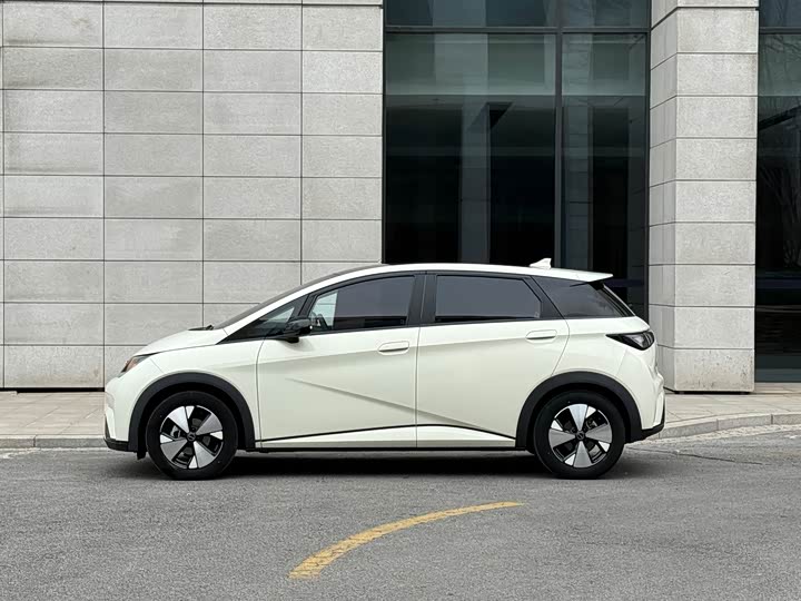 Фото 4 - BYD Dolphin