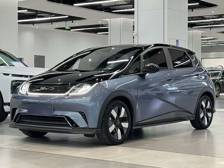 Фото 1 - BYD Dolphin