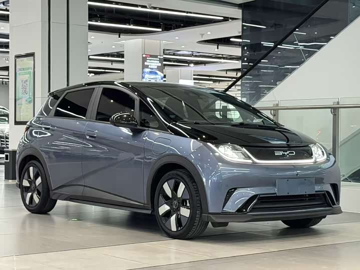 Фото 3 - BYD Dolphin