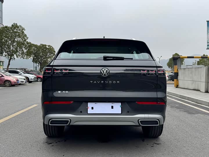 Фото 5 - Volkswagen Tavendor