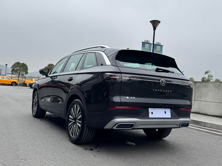 Фото 6 - Volkswagen Tavendor