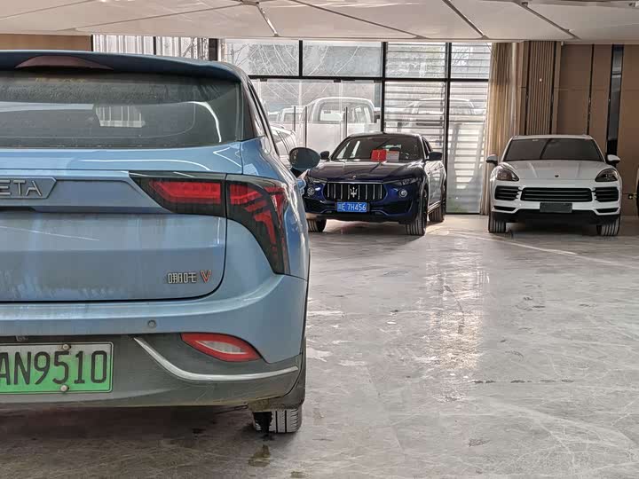 Фото 9 - Hozon V