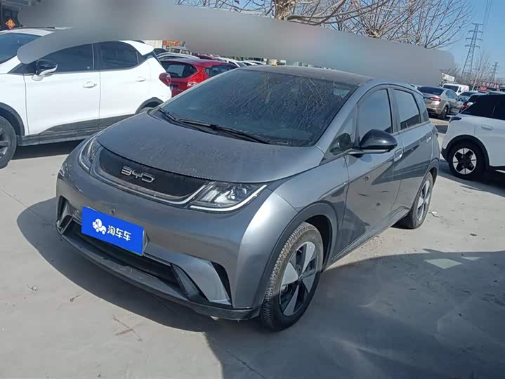 Фото 1 - BYD Dolphin