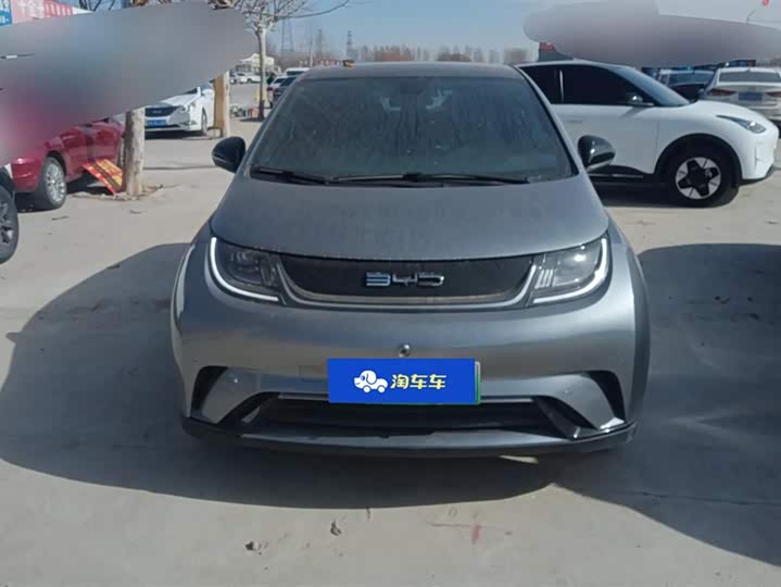 Фото 2 - BYD Dolphin