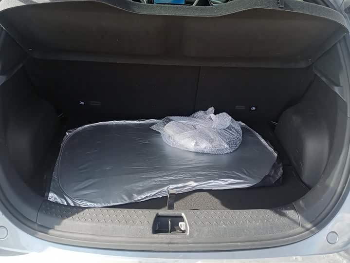 Фото 4 - BYD Dolphin