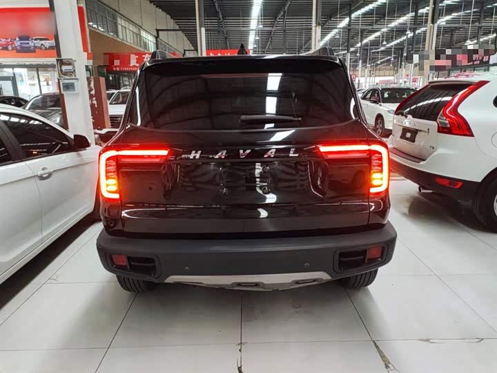 Фото 6 - Haval Dargo