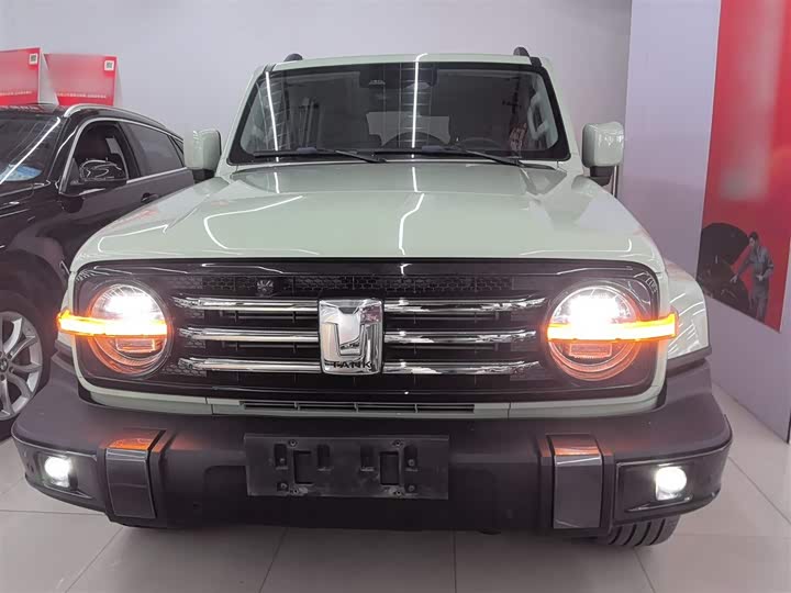 Фото 3 - Tank 300