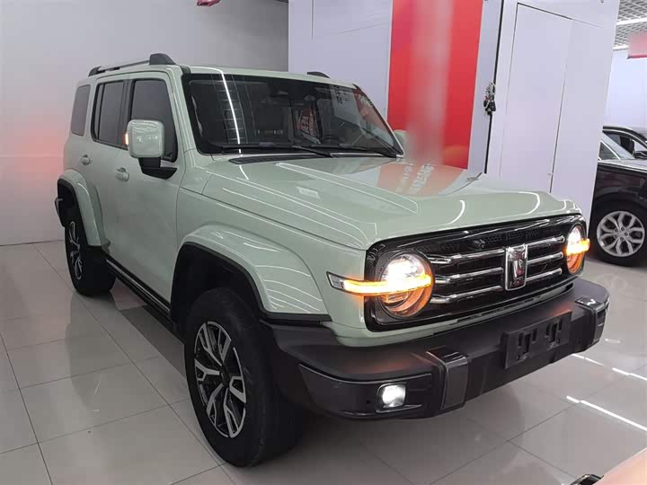 Фото 4 - Tank 300