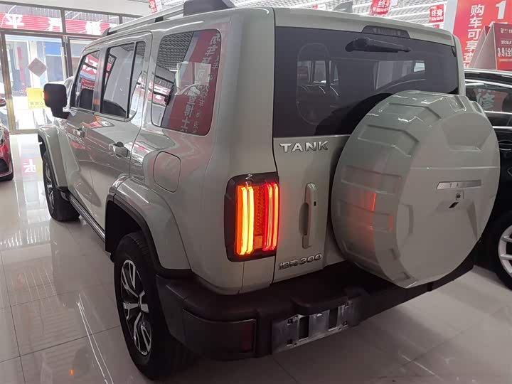 Фото 5 - Tank 300