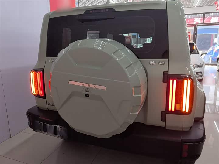 Фото 6 - Tank 300