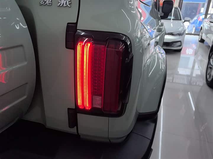 Фото 8 - Tank 300