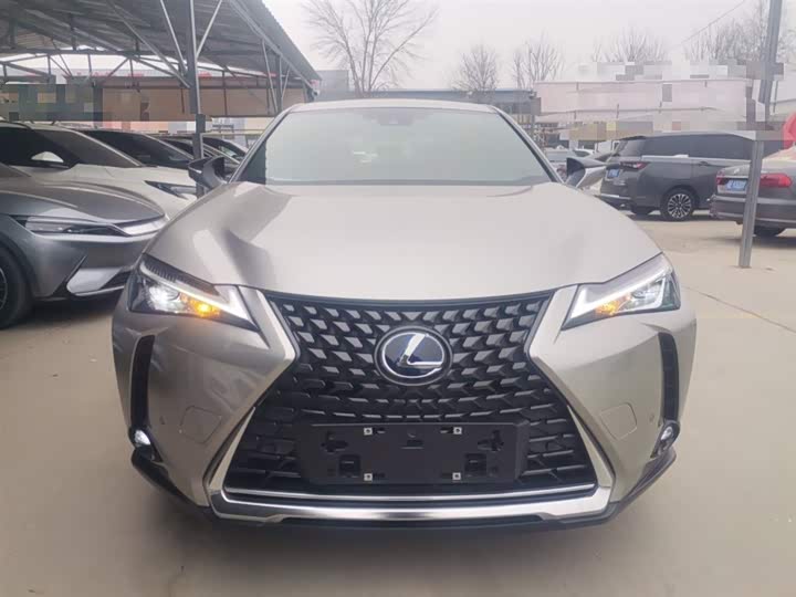 Фото 3 - Lexus UX Hybrid