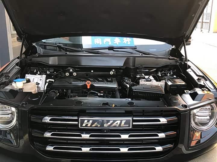 Фото 4 - Haval Dargo