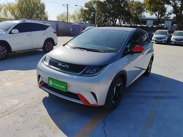 Фото 2 - BYD Dolphin