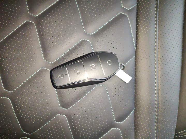 Фото 9 - BYD Sea Lion 07 EV