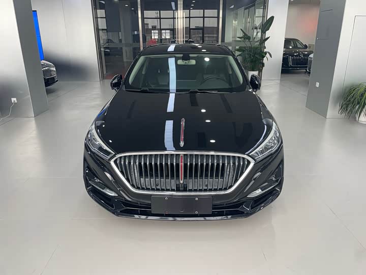 Фото 2 - Hongqi H5