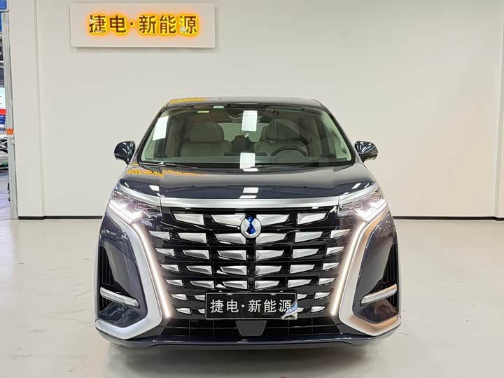 Фото 2 - Denza D9