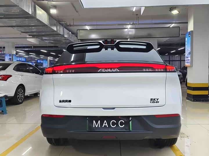 Фото 2 - Dongfeng Aeolus Sky EV01
