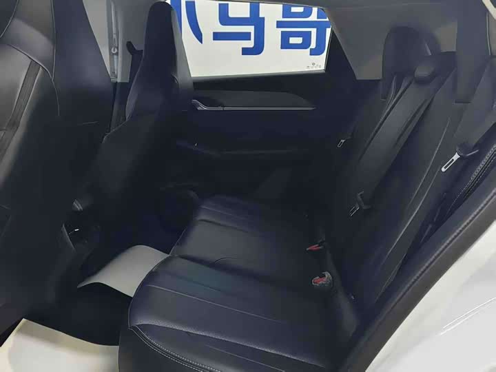 Фото 3 - Dongfeng Aeolus Sky EV01