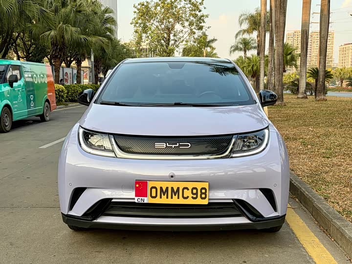 Фото 2 - BYD Dolphin